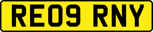 RE09RNY