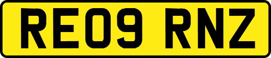 RE09RNZ