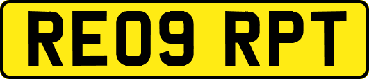 RE09RPT
