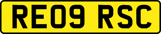 RE09RSC
