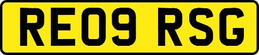 RE09RSG