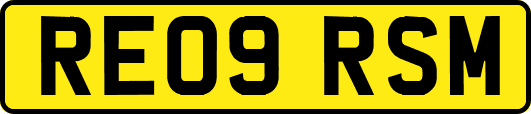RE09RSM