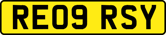 RE09RSY