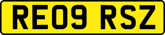 RE09RSZ