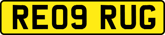 RE09RUG