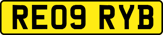 RE09RYB