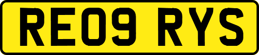 RE09RYS