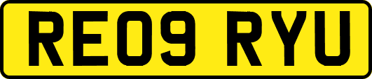 RE09RYU