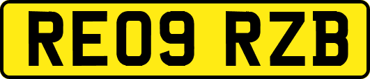 RE09RZB