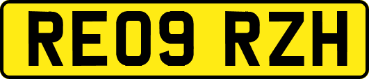 RE09RZH