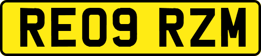 RE09RZM