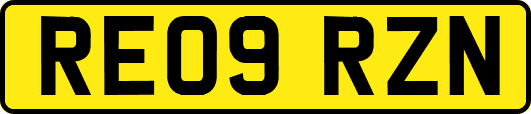 RE09RZN