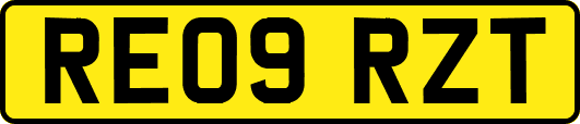RE09RZT
