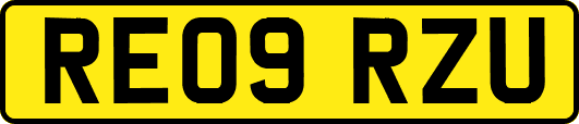 RE09RZU