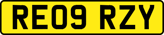 RE09RZY