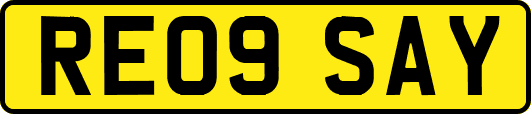 RE09SAY