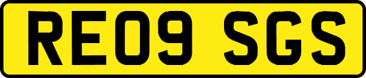 RE09SGS