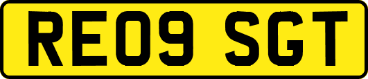 RE09SGT