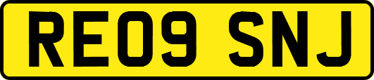 RE09SNJ