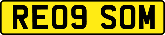 RE09SOM