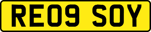RE09SOY