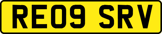 RE09SRV