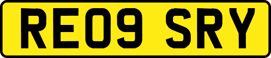RE09SRY