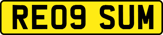 RE09SUM