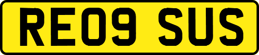 RE09SUS