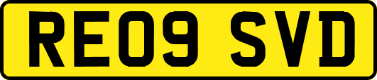 RE09SVD