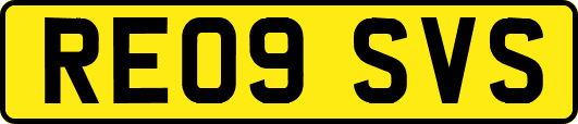 RE09SVS