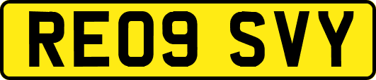 RE09SVY