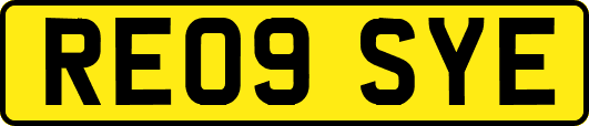 RE09SYE