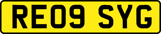 RE09SYG