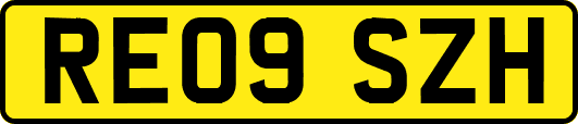 RE09SZH