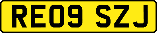 RE09SZJ
