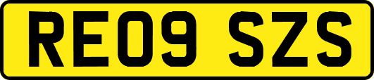 RE09SZS