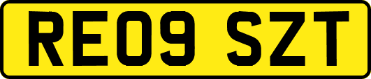 RE09SZT