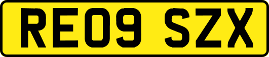 RE09SZX