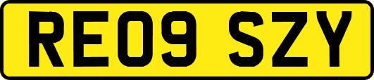 RE09SZY