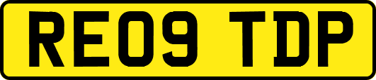 RE09TDP