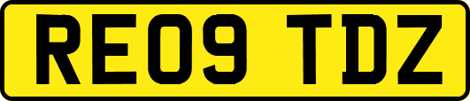 RE09TDZ