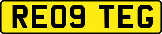 RE09TEG