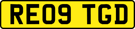 RE09TGD