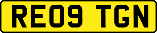 RE09TGN