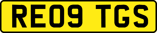 RE09TGS