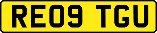 RE09TGU