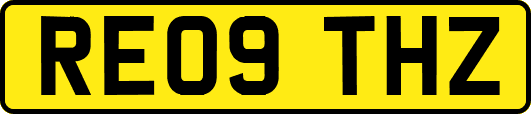 RE09THZ