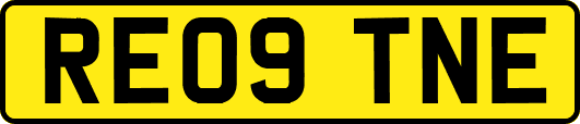 RE09TNE