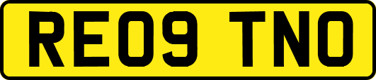 RE09TNO